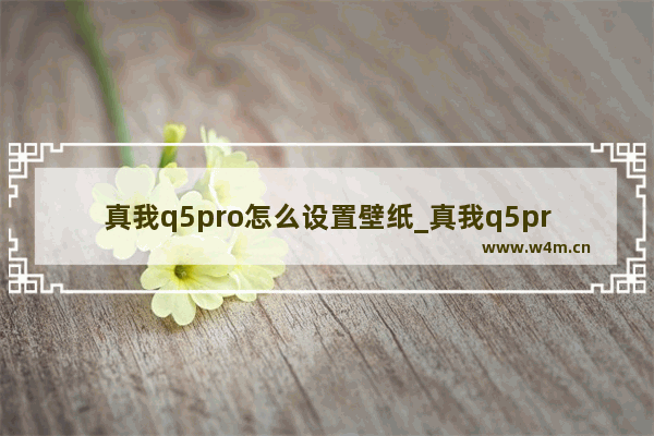 真我q5pro怎么设置壁纸_真我q5pro如何设置壁纸