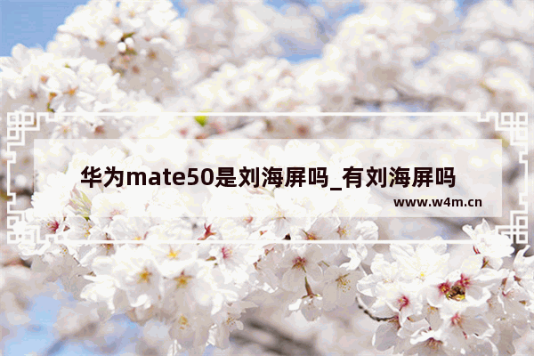 华为mate50是刘海屏吗_有刘海屏吗