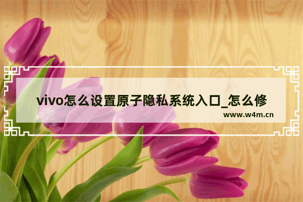 vivo怎么设置原子隐私系统入口_怎么修改原子隐私入口