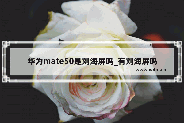 华为mate50是刘海屏吗_有刘海屏吗