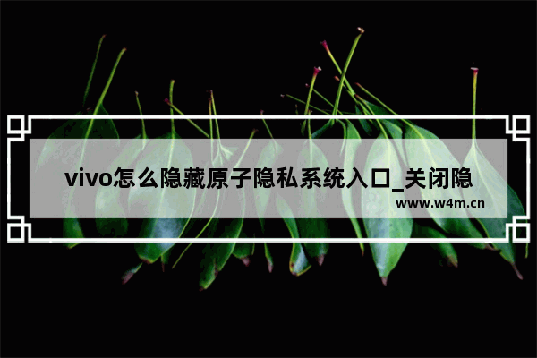 vivo怎么隐藏原子隐私系统入口_关闭隐藏原子隐私系统入口