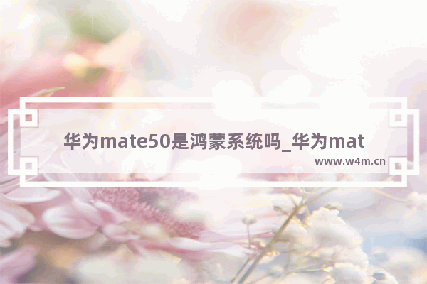 华为mate50是鸿蒙系统吗_华为mate50会用鸿蒙系统吗