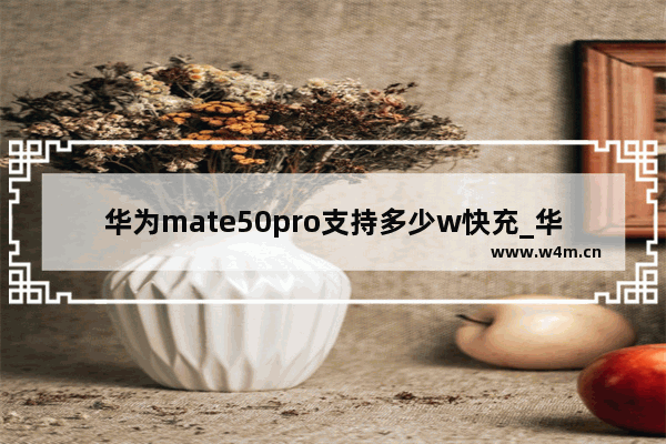 华为mate50pro支持多少w快充_华为mate50pro充电多少w