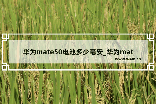 华为mate50电池多少毫安_华为mate50电池多大