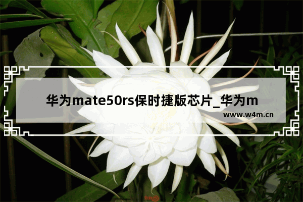 华为mate50rs保时捷版芯片_华为mate50rs保时捷处理器型号