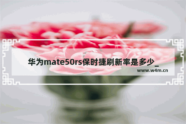 华为mate50rs保时捷刷新率是多少_华为mate50rs保时捷刷新率