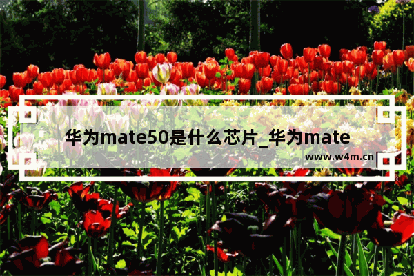 华为mate50是什么芯片_华为mate50是什么处理器