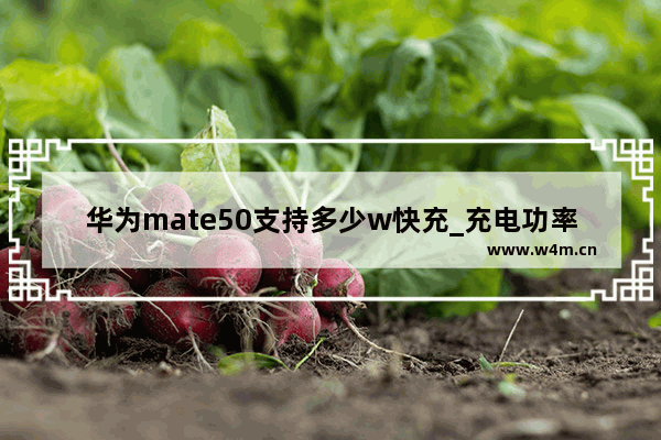 华为mate50支持多少w快充_充电功率