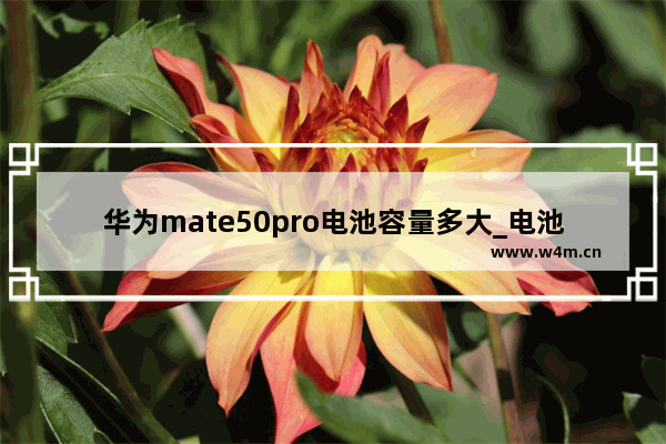 华为mate50pro电池容量多大_电池多大