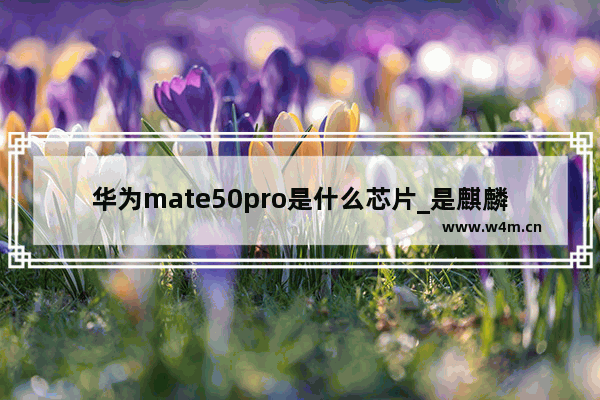 华为mate50pro是什么芯片_是麒麟芯片吗