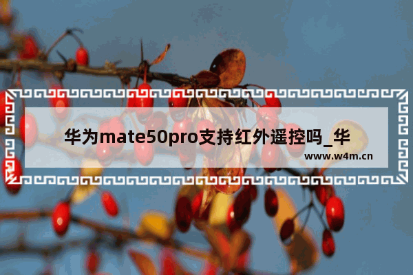 华为mate50pro支持红外遥控吗_华为mate50pro有红外遥控吗