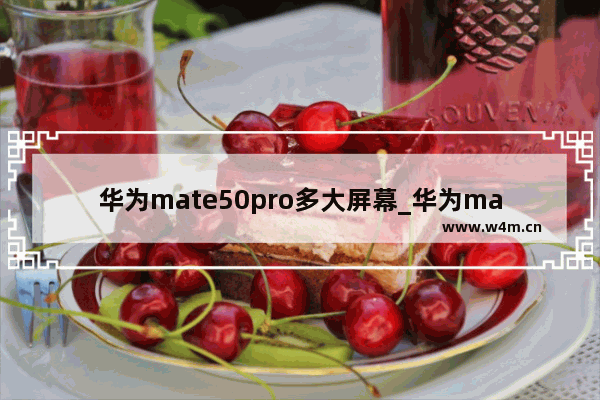 华为mate50pro多大屏幕_华为mate50pro屏幕尺寸