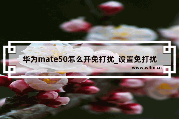 华为mate50怎么开免打扰_设置免打扰教程