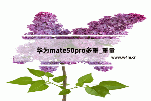 华为mate50pro多重_重量