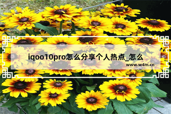 iqoo10pro怎么分享个人热点_怎么开热点