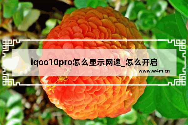 iqoo10pro怎么显示网速_怎么开启实时网速显示