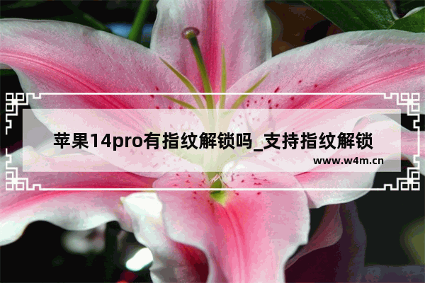 苹果14pro有指纹解锁吗_支持指纹解锁吗