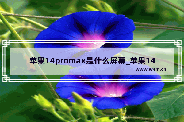 苹果14promax是什么屏幕_苹果14promax屏幕材质