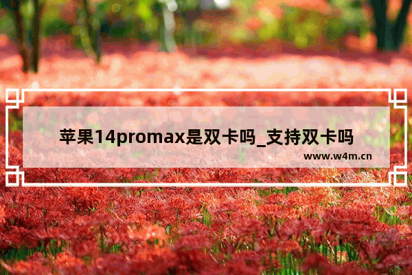 苹果14promax是双卡吗_支持双卡吗