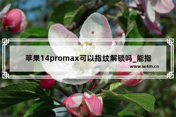 苹果14promax可以指纹解锁吗_能指纹解锁吗