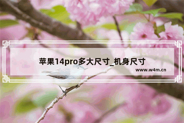 苹果14pro多大尺寸_机身尺寸