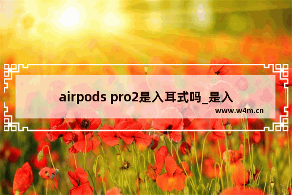 airpods pro2是入耳式吗_是入耳式还是半入耳式