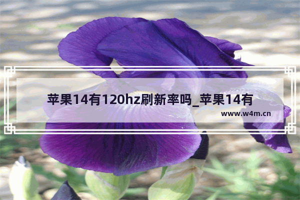 苹果14有120hz刷新率吗_苹果14有高刷吗