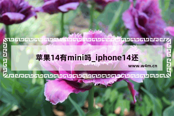 苹果14有mini吗_iphone14还有mini吗