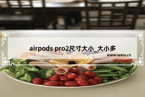 airpods pro2尺寸大小_大小多少