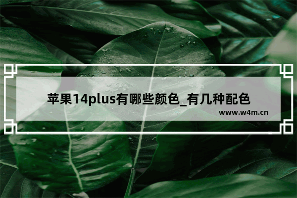 苹果14plus有哪些颜色_有几种配色