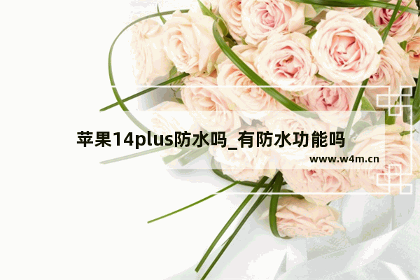 苹果14plus防水吗_有防水功能吗