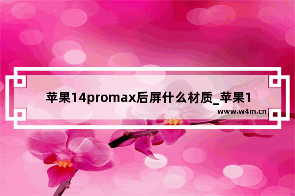 苹果14promax后屏什么材质_苹果14promax后盖是玻璃的吗