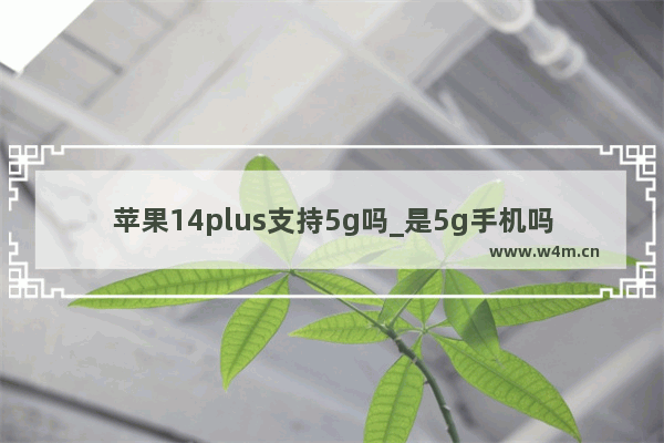 苹果14plus支持5g吗_是5g手机吗