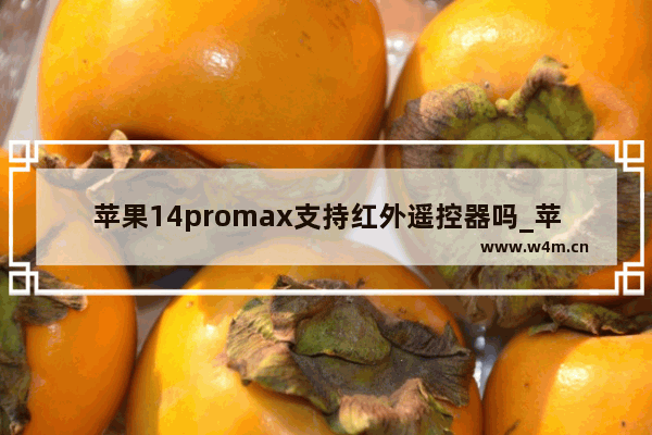 苹果14promax支持红外遥控器吗_苹果14promax支持红外线吗