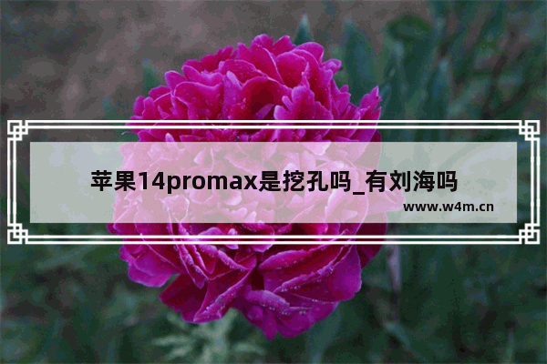 苹果14promax是挖孔吗_有刘海吗