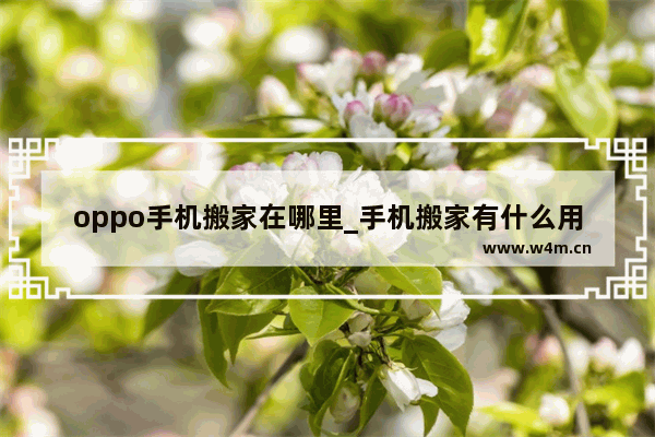 oppo手机搬家在哪里_手机搬家有什么用