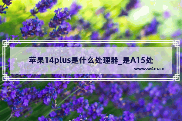 苹果14plus是什么处理器_是A15处理器吗