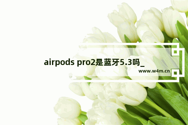 airpods pro2是蓝牙5.3吗_airpods pro2蓝牙版本