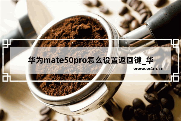 华为mate50pro怎么设置返回键_华为mate50pro如何设置返回键