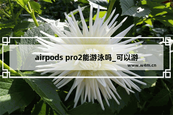 airpods pro2能游泳吗_可以游泳吗