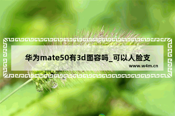 华为mate50有3d面容吗_可以人脸支付吗