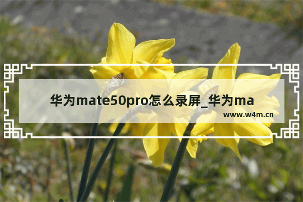 华为mate50pro怎么录屏_华为mate50pro如何录屏