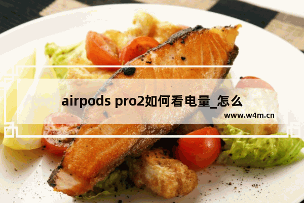 airpods pro2如何看电量_怎么看电量