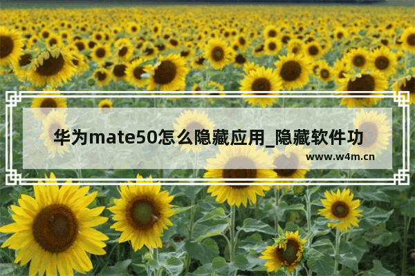 华为mate50怎么隐藏应用_隐藏软件功能在哪