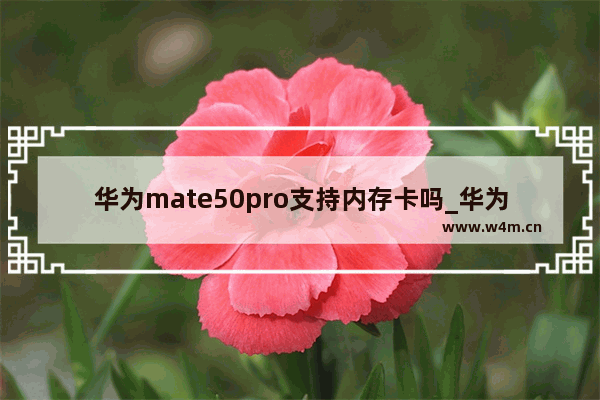 华为mate50pro支持内存卡吗_华为mate50pro可以插内存卡吗