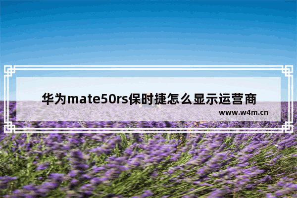 华为mate50rs保时捷怎么显示运营商_华为显示运营商设置在哪里