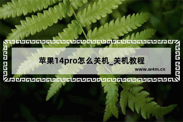 苹果14pro怎么关机_关机教程