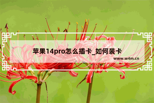 苹果14pro怎么插卡_如何装卡