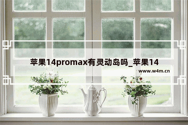 苹果14promax有灵动岛吗_苹果14promax支持灵动岛吗