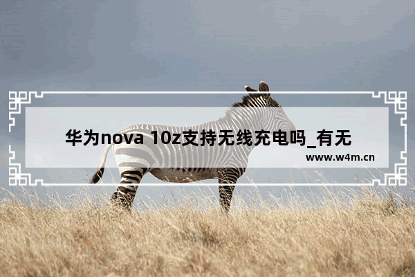 华为nova 10z支持无线充电吗_有无线充电吗